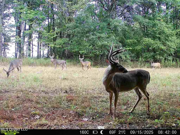 Curtis Rd, Batesville, MS 38606