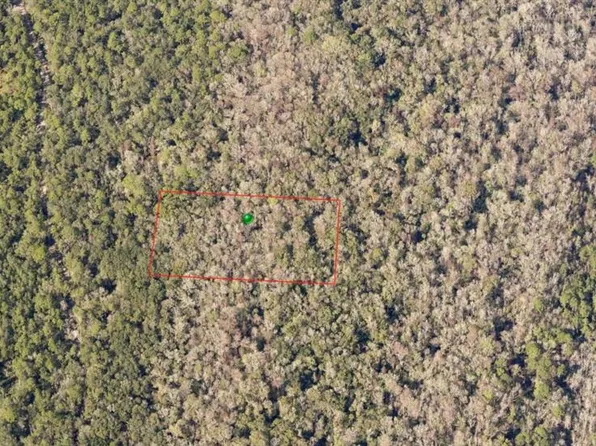 Cape Atlantic Estates Section #D-lot 1260, Oak Hill, FL 32759