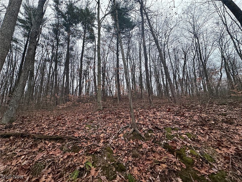 1st image of State Route 555 NE