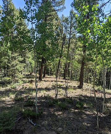 2nd image of 230 Pinon Lake Dr
