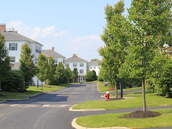 Neighborhood Setting