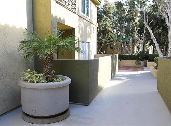 2nd image of 7565 Charmant Dr Unit 513