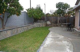 Spacious yard with two full grown fruit trees.