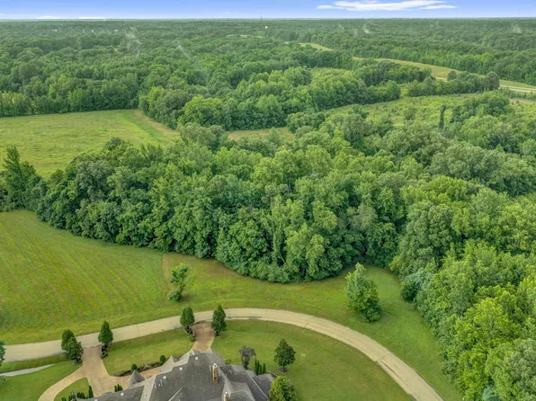 272 N Monterey Farms Cv #21, Collierville, TN 38017