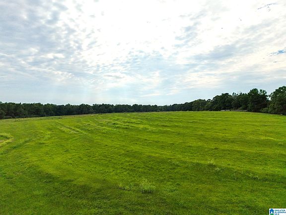 5th image of 0 County Road 43 #1