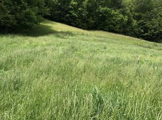 Browns Branch Rd, Hampton, TN 37658