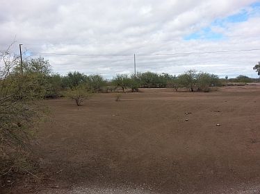 1st image of 4165 W Saguaro Dr