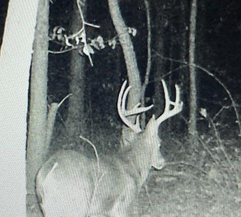 2nd image of 2 Berle Gene Lane