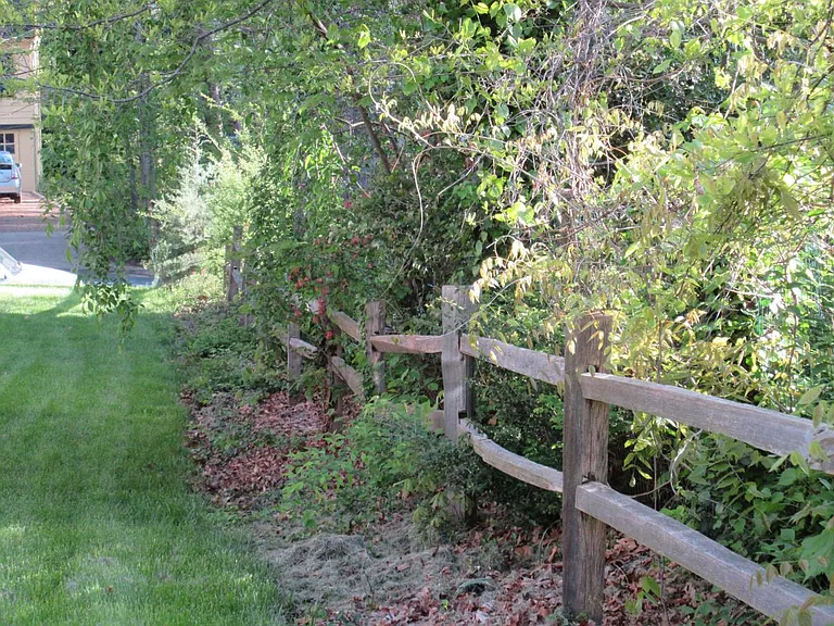 Fence and yard