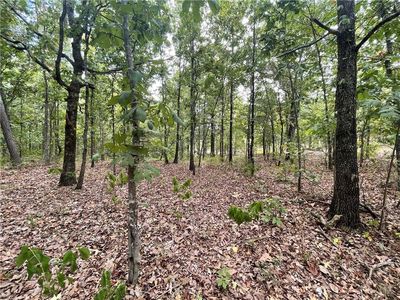 686 Woodland Hills Trl Lot 25, Broken Bow, OK, 74728