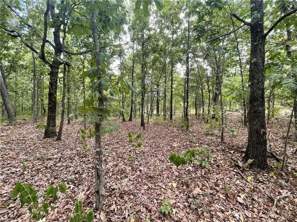 686 Woodland Hills Trl Lot 25, Broken Bow, OK 74728