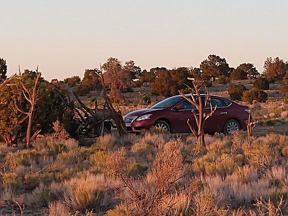 Cars can make it year around