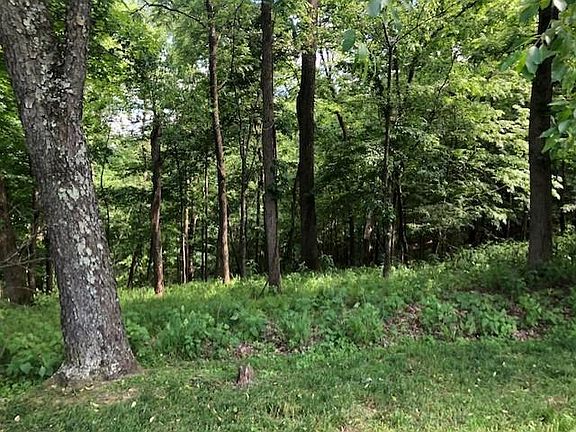 3rd image of 1527 Highpoint Dr