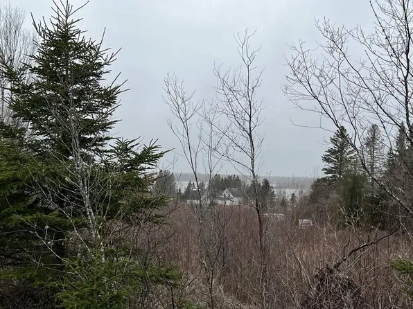 LOT 37A East Side Road, Addison, ME 04606