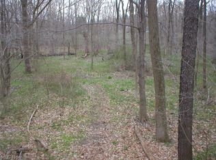 Cowley Rd, Columbia Station, OH 44028