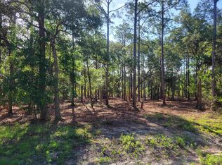 LOT 18 Striffler St, Panacea, FL 32346