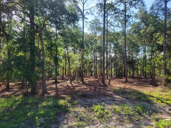 LOT 18 Striffler St, Panacea, FL 32346