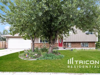1175 Babcock Rd, Colorado Springs, CO, 80915