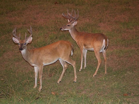 2nd image of 0 Almaden Rd