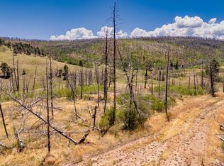 LOT 1534 Berger Ln, Fort Garland, CO 81133