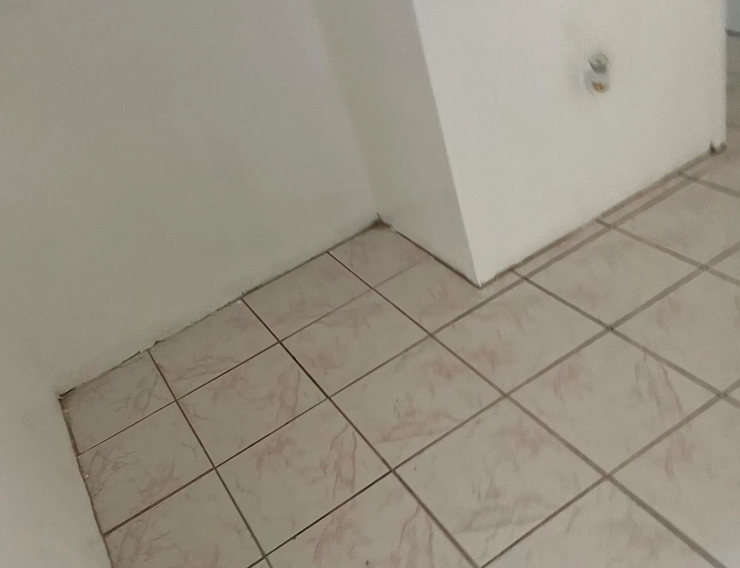 1 bed, $1,100 — Photo 2