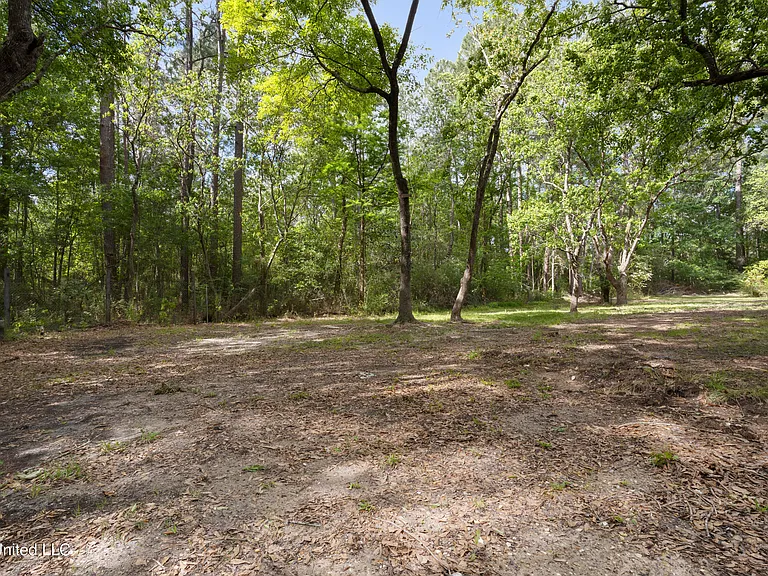 11612 Independence Rd — Photo 23