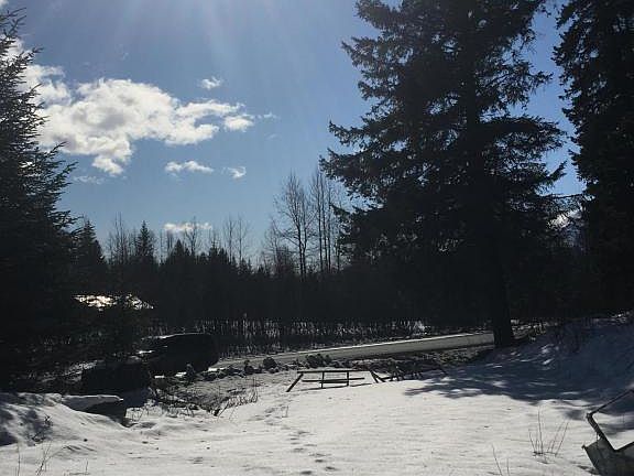 3rd image of 12525 Seward Hwy