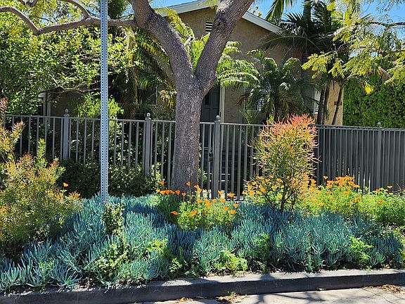 Front view of house, California poppies in bloom