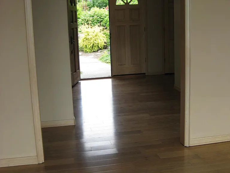 Entrance hallway - looking toward back yard.