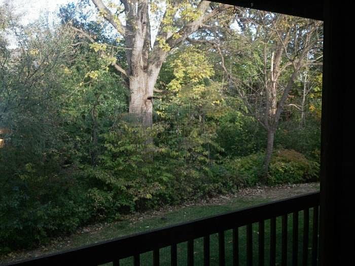 1st image of 355 Woodridge Cir Unit F