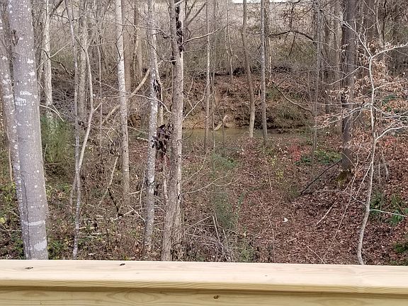 Back yard with a nice creek!