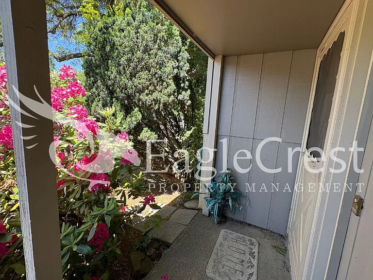924 Shasta Dr — Photo 16