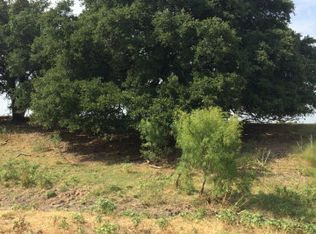 141 Elberta St, Stonewall, TX 78671