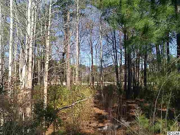 5th image of Lot 403 Maccoa Dr. Lot 403 Wild Wing Plantation