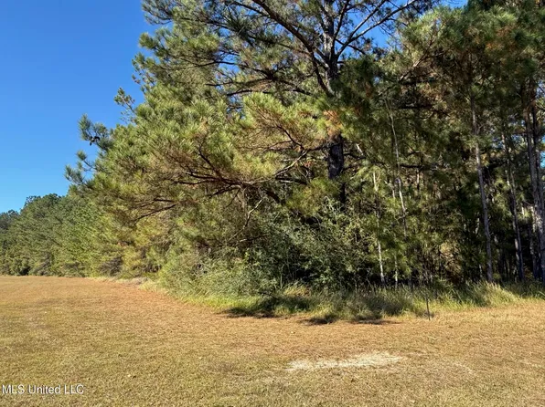 Knobtown Rd, State Line, MS 39362