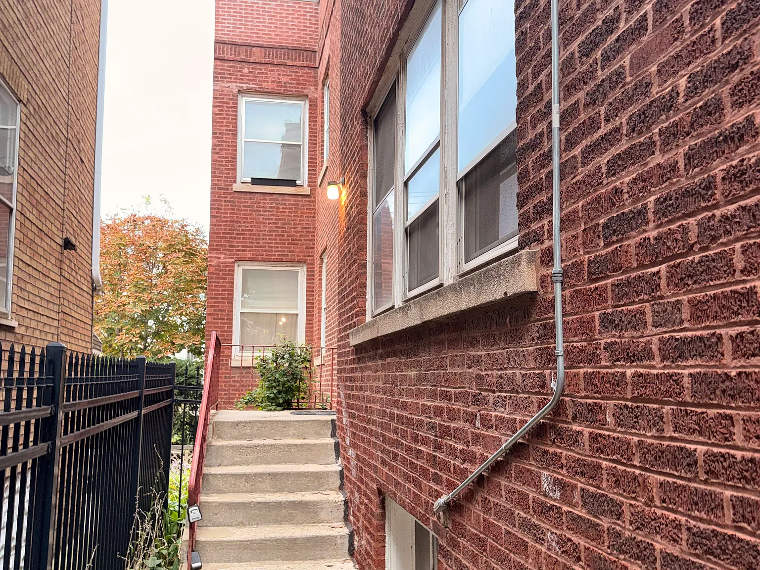 1 bed, 800 sqft, $1,250 — Photo 2