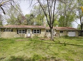 335 E Jane St, Bellevue, MI 49021