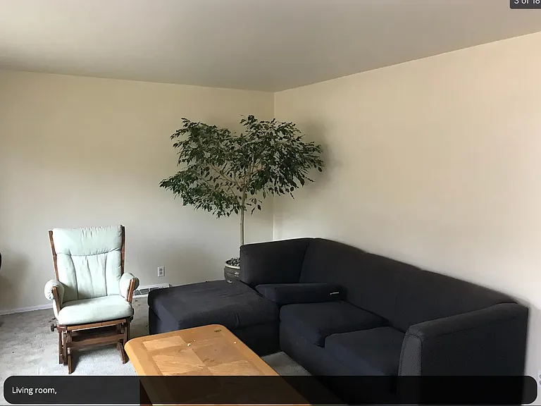 1509 Brentwood Dr — Photo 9