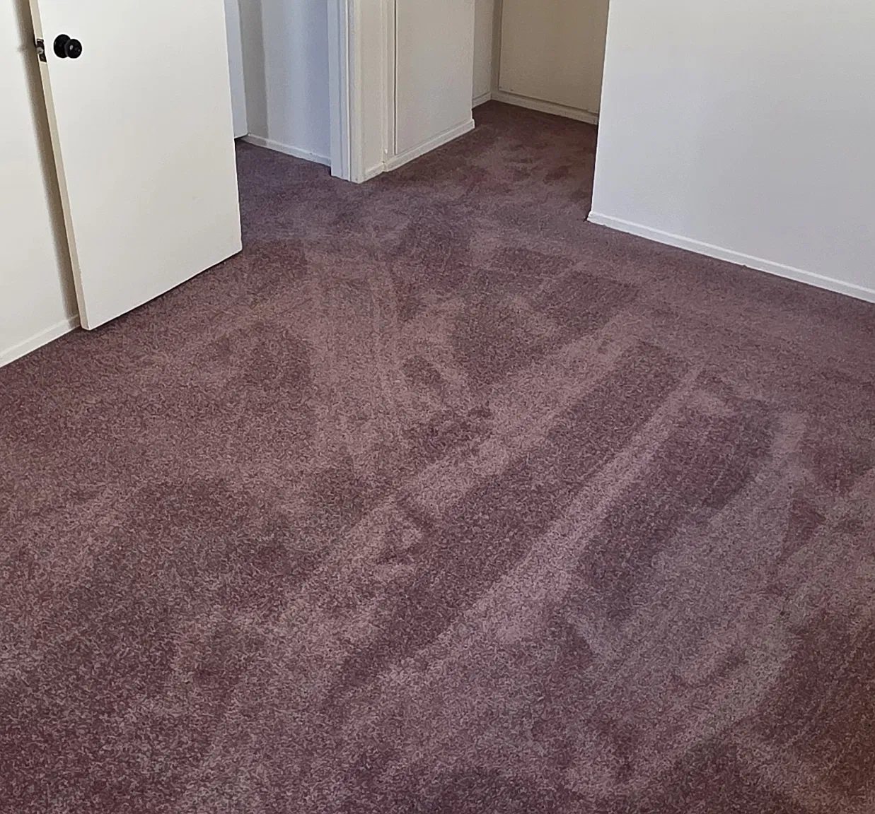 1 bed, 500 sqft, $1,450 — Photo 2