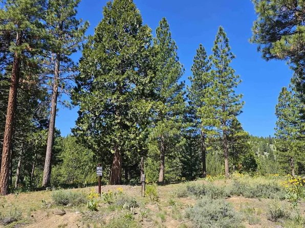 403 Big Grizzly, Portola, CA 96122