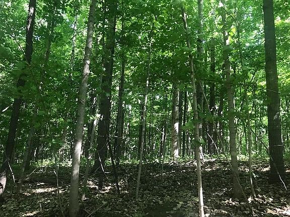 5th image of Xxx 115th Street Lincoln Twp