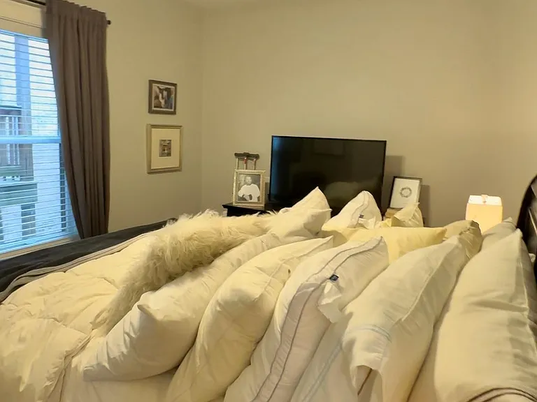 1354 W Carmen Ave #1F — Photo 27