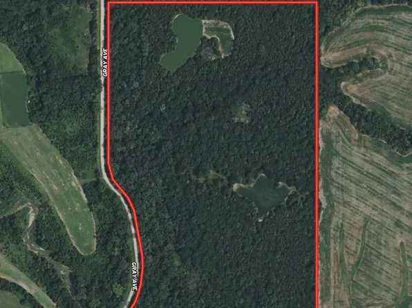 Gray Ave, Cantril, IA 52542