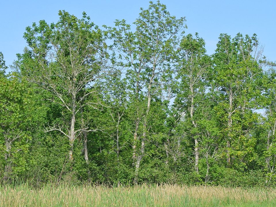 1st image of XX Highway 200