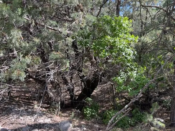 2 Kipling Dr #14, Timberon, NM 88350