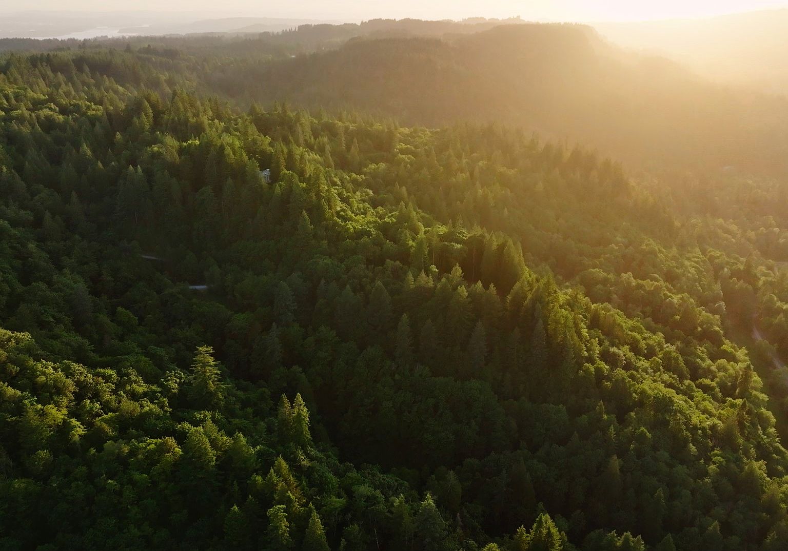 452 Wildlife Rd, Washougal, WA 98671 MLS 23552367 Zillow