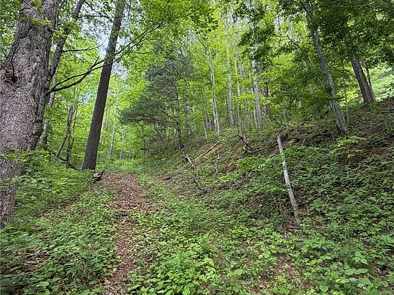 3rd image of TBD Ben Bolen Road