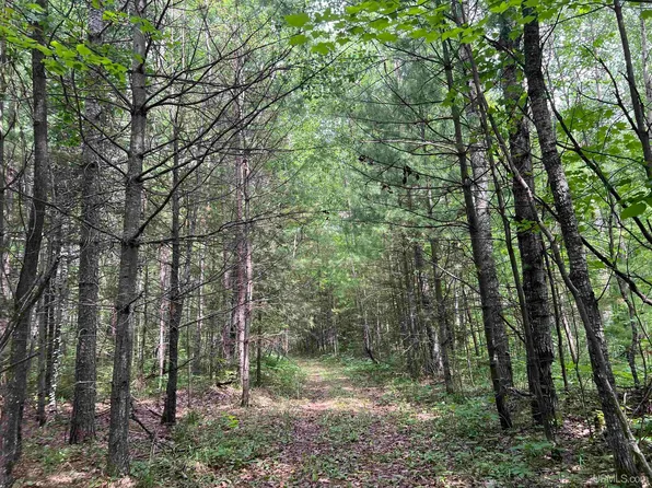 W Leeman Rd, Felch, MI 49831