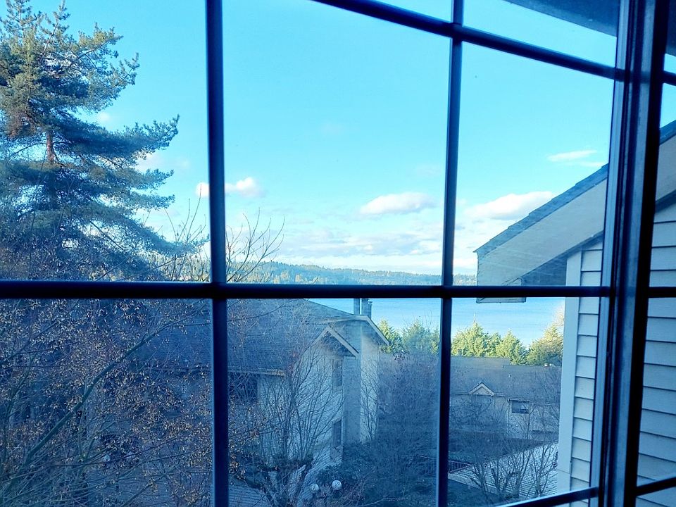 View from Master BR