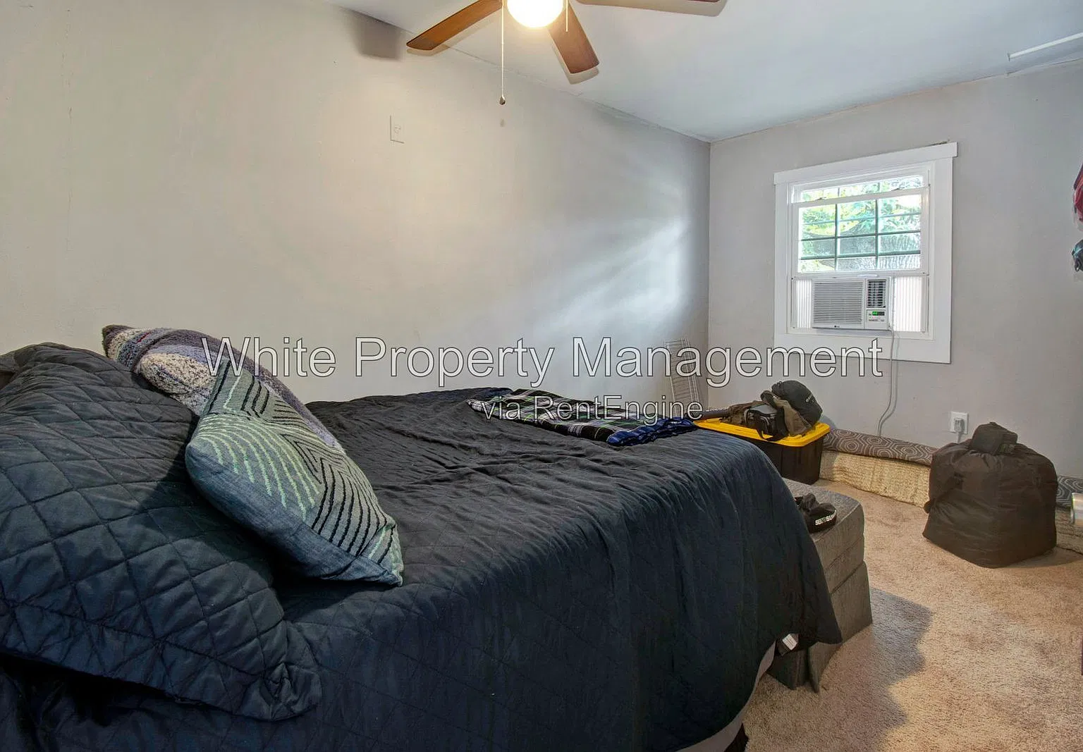 1 bed, 1.0 bath, 617 sqft, $1,245 — Photo 3